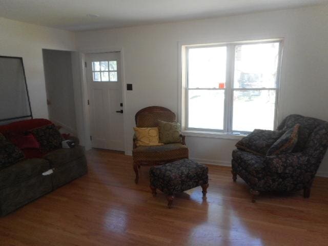 22521 Richton Square Rd, Richton Park, IL 60471 - living room featuring wood finished floors