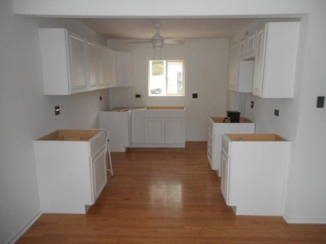 22521 Richton Square Rd, Richton Park, IL 60471 - kitchen featuring a ceiling fan and light wood-style floors