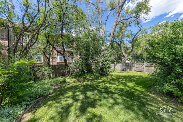 25 Olympus Dr, Naperville, IL 60540 - view of yard