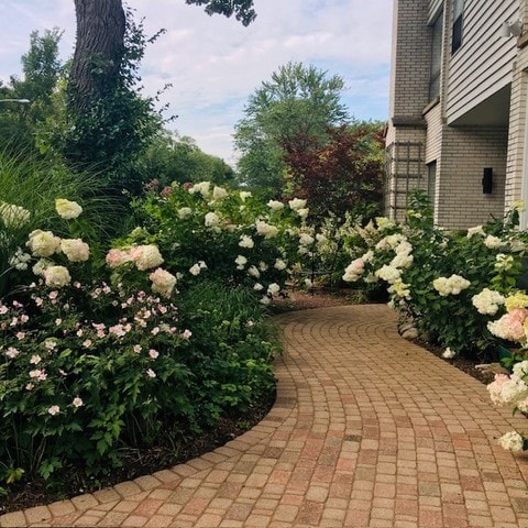 941 Harms Rd, Glenview, IL 60025 - view of patio