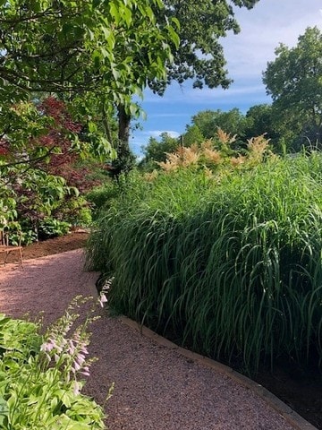 941 Harms Rd, Glenview, IL 60025 - view of yard