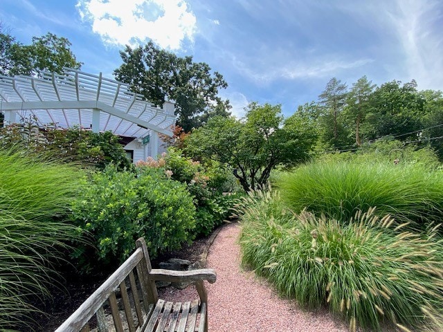 941 Harms Rd, Glenview, IL 60025 - view of yard featuring a pergola