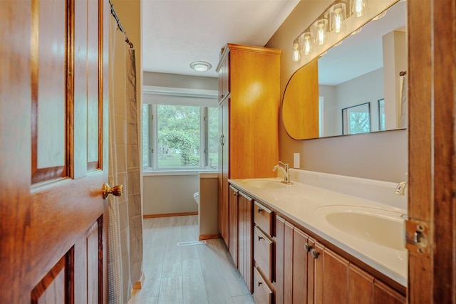 20541 E 2050 N Rd, Towanda, IL 61776 - full bath with double vanity, toilet, and wood finished floors