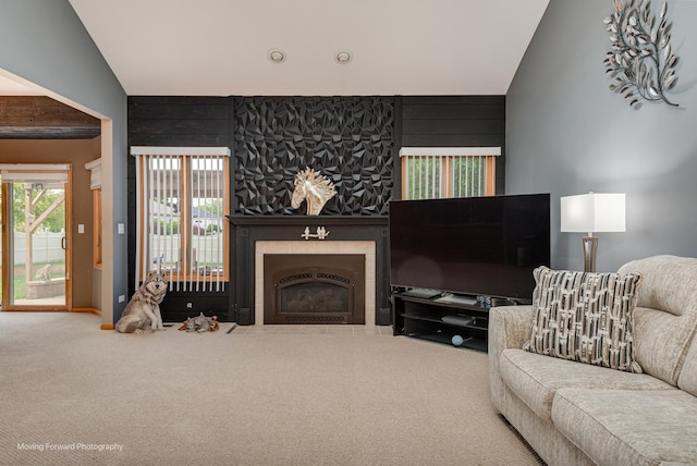 608 W N St, Peotone, IL 60468 - living area featuring carpet floors, lofted ceiling, and a fireplace with flush hearth
