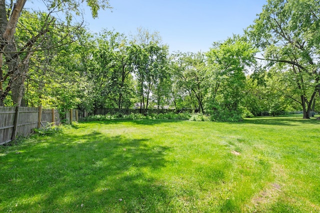 3737 Rose Manor Ter, Markham, IL 60428 - view of yard