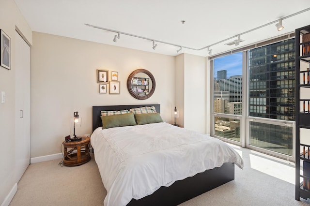 2 E Erie St Unit 2505, Chicago, IL 60611 - carpeted bedroom with rail lighting, baseboards, and a view of city