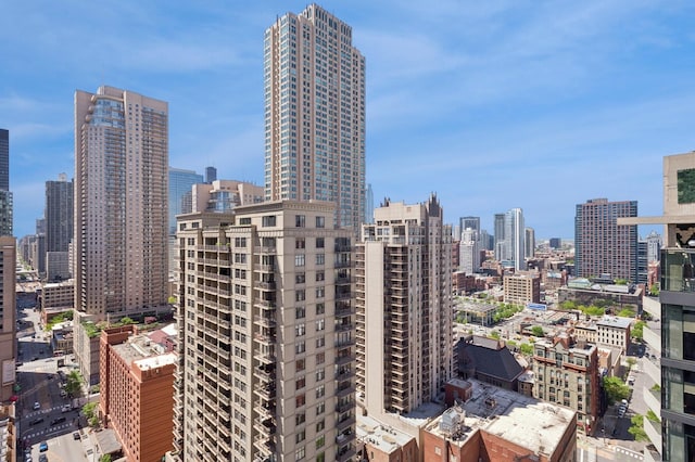 2 E Erie St Unit 2505, Chicago, IL 60611 - skyline view