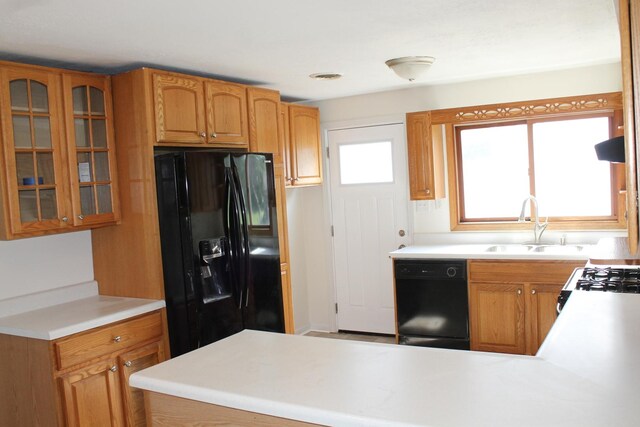 517 Victor St, Sycamore, IL 60178 - kitchen with black appliances, glass insert cabinets, light countertops, a sink, and brown cabinetry