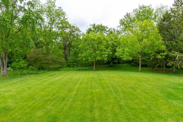 215 Hilltop Ln, Sleepy Hollow, IL 60118 - view of green lawn