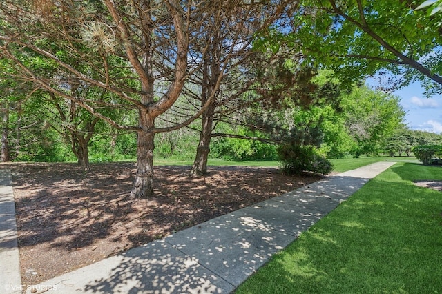 2258 Reflections Dr Unit 2258, Aurora, IL 60502 - view of home's community featuring a lawn
