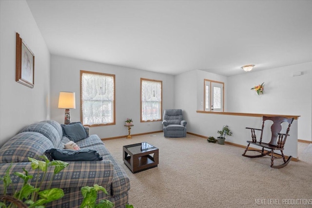 1705 Heatherstone Ave, Montgomery, IL 60538 - living area featuring carpet and baseboards