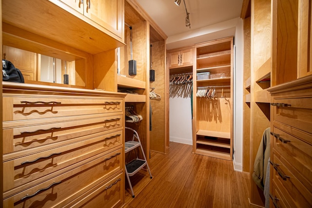 340 E Randolph St Unit 4703, Chicago, IL 60601 - spacious closet featuring wood finished floors
