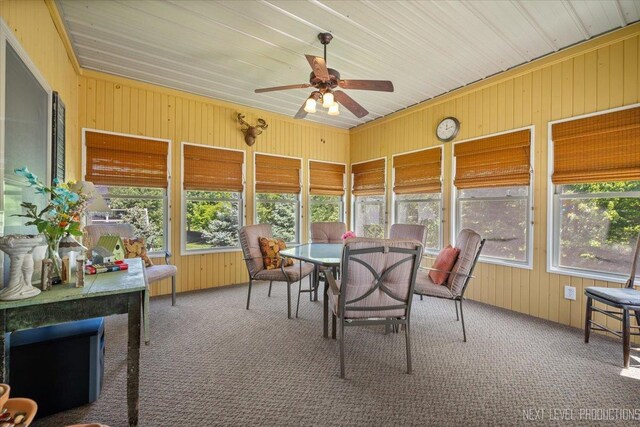 1356 Spring St, Yorkville, IL 60560 - photo 26