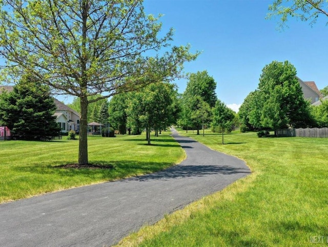 1356 Spring St, Yorkville, IL 60560 - photo 37