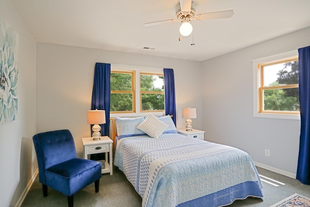 611 S 10th Ave, Saint Charles, IL 60174 - bedroom with carpet, multiple windows, and ceiling fan