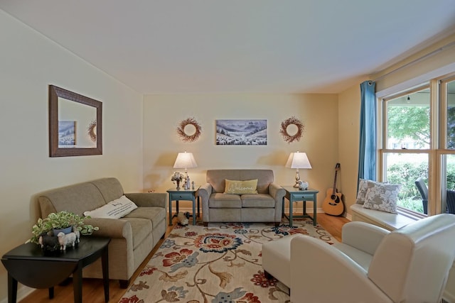 611 S 10th Ave, Saint Charles, IL 60174 - living room featuring wood finished floors