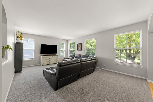 1284 Mcdole Dr, Sugar Grove, IL 60554 - carpeted living area with baseboards and arched walkways