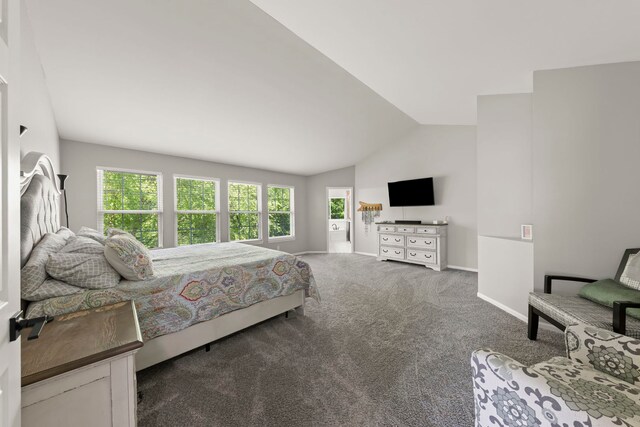 1284 Mcdole Dr, Sugar Grove, IL 60554 - carpeted bedroom with baseboards and vaulted ceiling