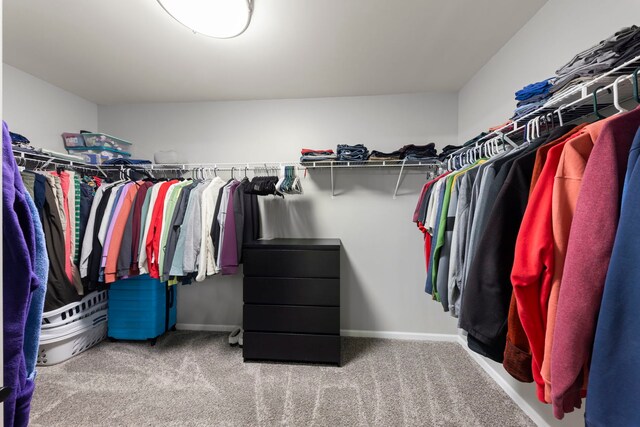 1284 Mcdole Dr, Sugar Grove, IL 60554 - spacious closet with carpet floors