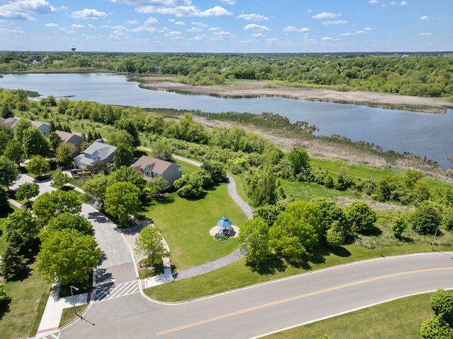 1284 Mcdole Dr, Sugar Grove, IL 60554 - bird's eye view of a large body of water and a forest