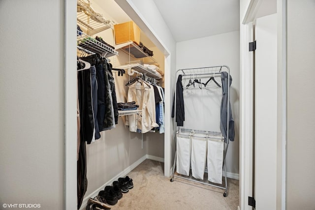 20 N Tower Rd Unit 3G, Oak Brook, IL 60523 - spacious closet featuring carpet floors