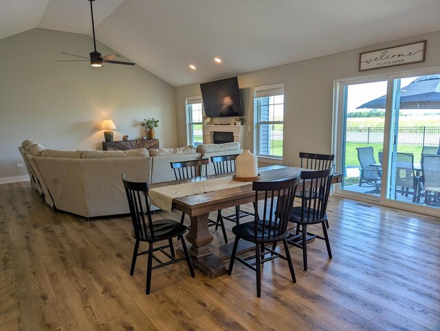 1785 Condor Dr, Manteno, IL 60950 - dining space featuring lofted ceiling, wood finished floors, a fireplace, recessed lighting, and ceiling fan
