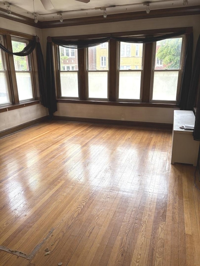 7713 S Cornell Ave, Chicago, IL 60649 - photo 3