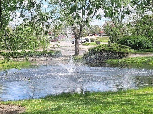 1188 Royal Glen Dr Unit 211, Glen Ellyn, IL 60137 - water view