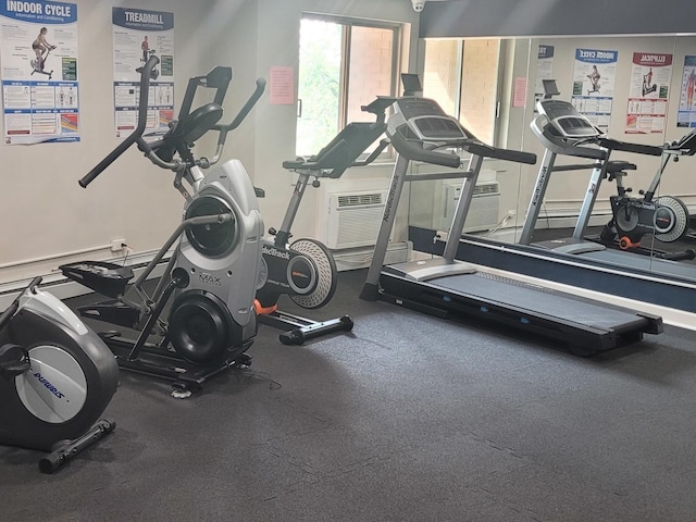 1188 Royal Glen Dr Unit 211, Glen Ellyn, IL 60137 - view of gym