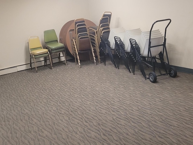 1188 Royal Glen Dr Unit 211, Glen Ellyn, IL 60137 - misc room with carpet and a baseboard heating unit