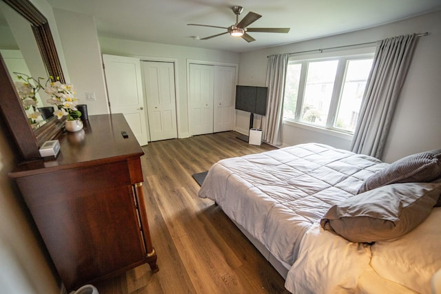 7902 160th St, Tinley Park, IL 60477 - bedroom featuring two closets, dark wood finished floors, and ceiling fan