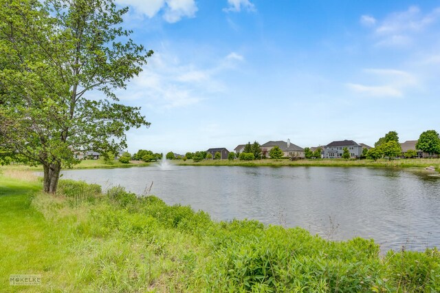 25202 Parkside Dr, Plainfield, IL 60544 - photo 50