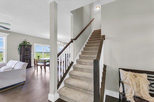 1908 Littlefield Ln, Mahomet, IL 61853 - staircase featuring healthy amount of natural light, wood finished floors, and a ceiling fan
