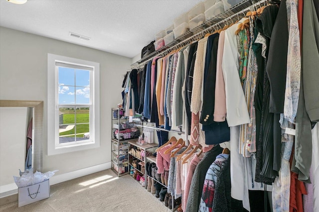 1908 Littlefield Ln, Mahomet, IL 61853 - spacious closet featuring carpet flooring