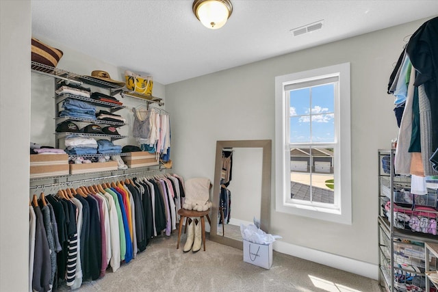 1908 Littlefield Ln, Mahomet, IL 61853 - spacious closet with carpet