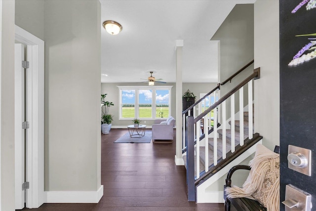 1908 Littlefield Ln, Mahomet, IL 61853 - entryway featuring baseboards, a ceiling fan, stairway, and hardwood / wood-style floors