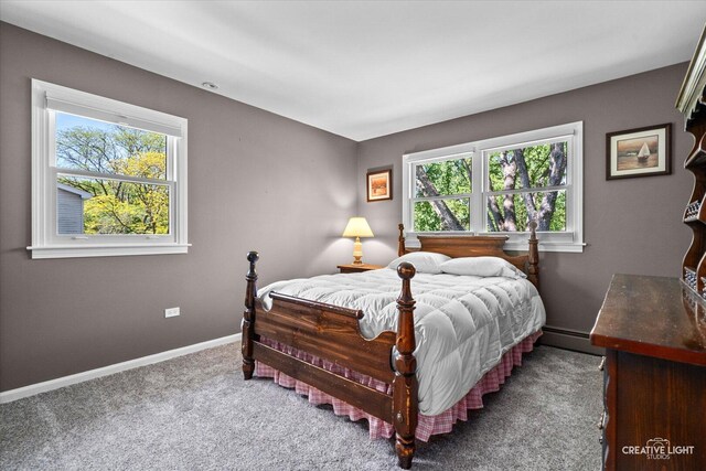 256 Beverly Rd, Barrington, IL 60010 - photo 20