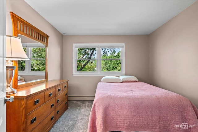 256 Beverly Rd, Barrington, IL 60010 - photo 21
