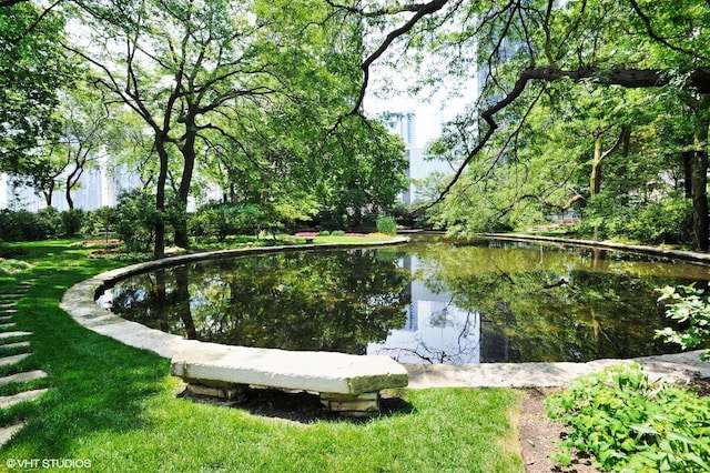505 N Lake Shore Dr Unit 5201, Chicago, IL 60611 - water view