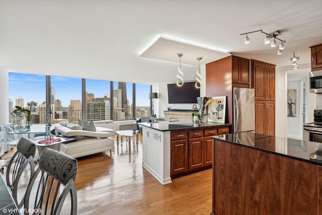 505 N Lake Shore Dr Unit 5201, Chicago, IL 60611 - kitchen featuring stainless steel appliances, open floor plan, light wood-style flooring, dark stone countertops, and pendant lighting