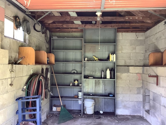 404 W Francis Rd, New Lenox, IL 60451 - storage room with a garage