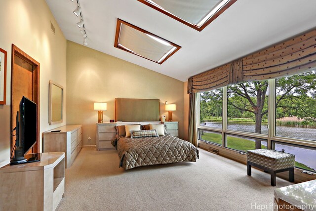 400 Riverwoods Rd, Mettawa, IL 60045 - photo 41