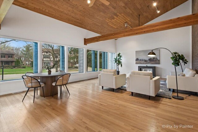 1520 Silver Maple Ct, Naperville, IL 60563 - living room featuring high vaulted ceiling, light wood-style floors, wood ceiling, and a glass covered fireplace