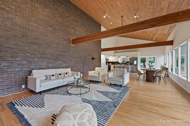 1520 Silver Maple Ct, Naperville, IL 60563 - living area with high vaulted ceiling, brick wall, light wood-style flooring, wooden ceiling with exposed beams, and track lighting