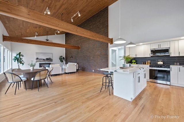 1520 Silver Maple Ct, Naperville, IL 60563 - kitchen with stainless steel appliances, high vaulted ceiling, open floor plan, white cabinetry, and a kitchen island