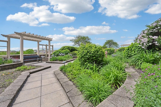 170 N NW Hwy Unit 401, Park Ridge, IL 60068 - view of property's community with a pergola