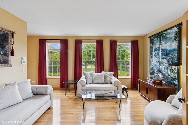 5 N Chestnut Ct, Hawthorn Woods, IL 60047 - living room with light wood finished floors