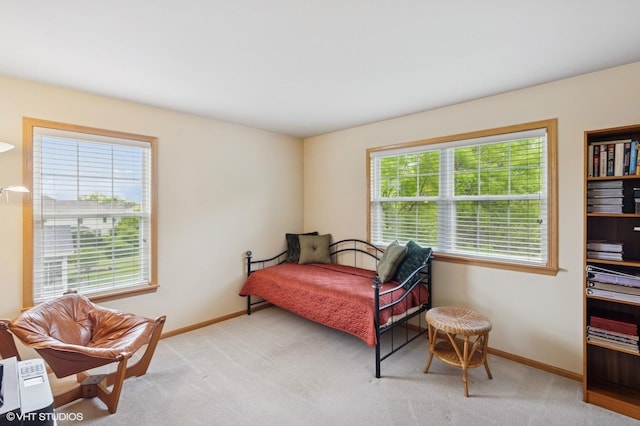 5 N Chestnut Ct, Hawthorn Woods, IL 60047 - bedroom with baseboards and light colored carpet