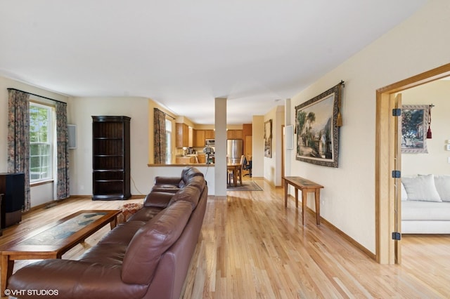 5 N Chestnut Ct, Hawthorn Woods, IL 60047 - living area with light wood-style flooring and baseboards