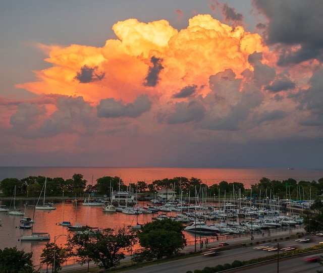 3200 N Lake Shore Dr Unit 911, Chicago, IL 60657 - water view featuring a marina and a dock